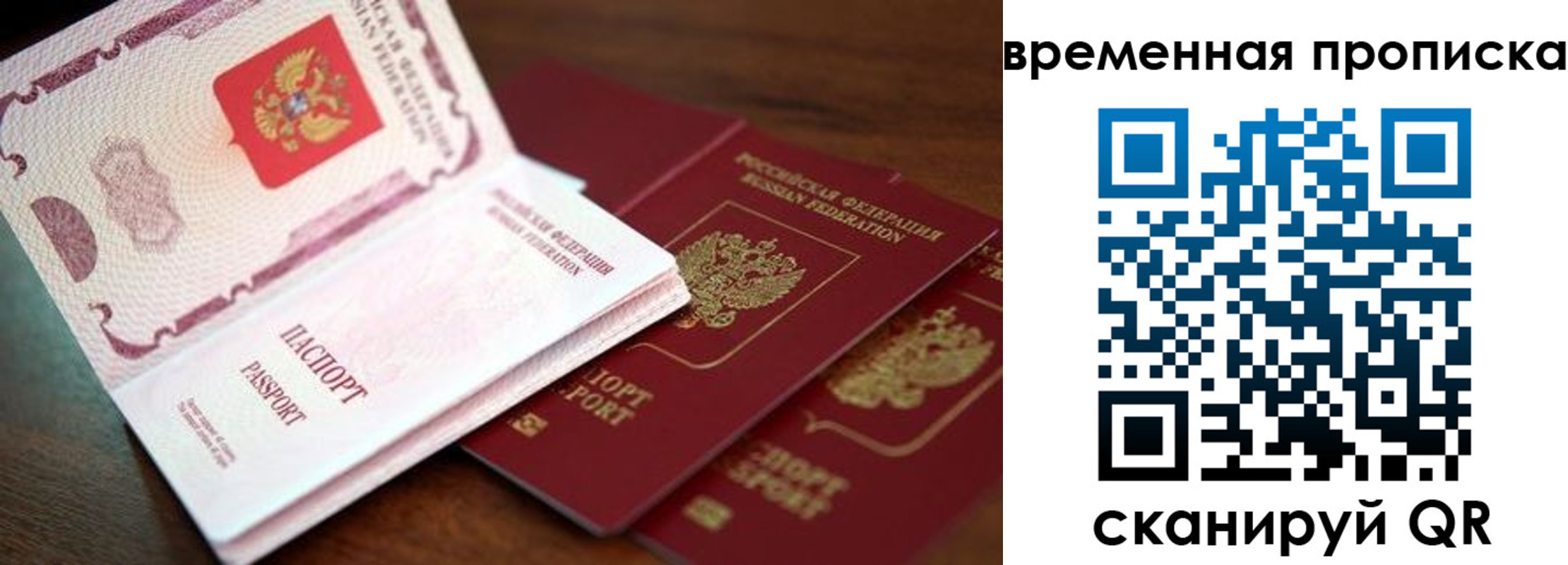 прописка гарантия в Емве